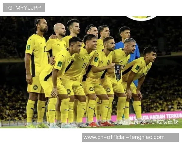 12月15日越南对阵马来西亚精彩直播全程回顾与赛前分析