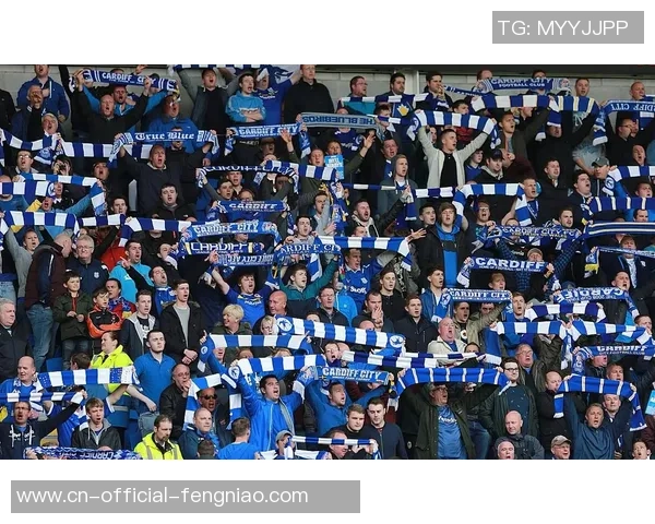 斯托克城与卡迪夫城对决前瞻分析及战术解析